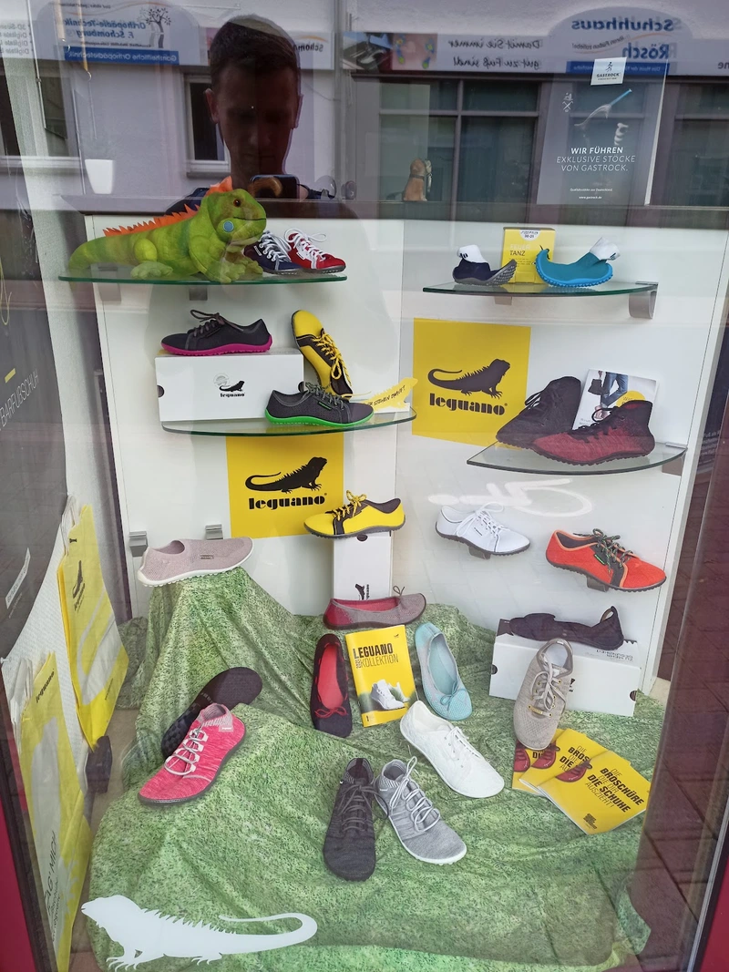 Schomburg F. Ganzheitliche Orthopädie – Bild 2