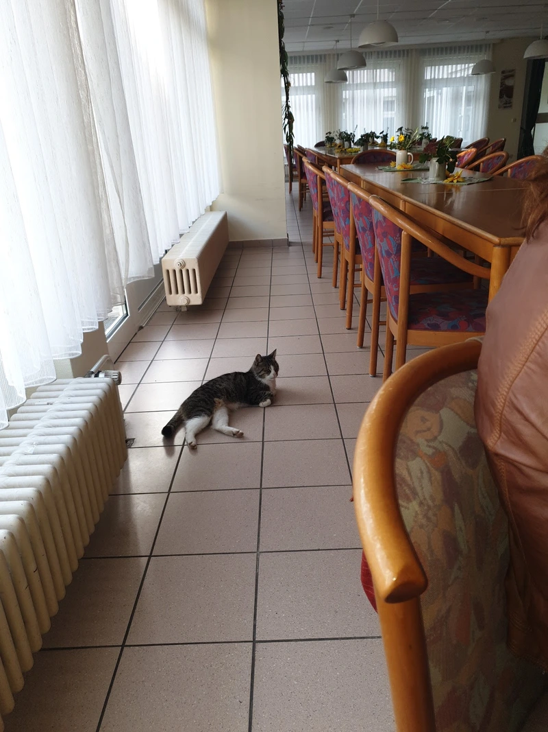 Diakonie-Hospital Sozialdienst – Bild 2