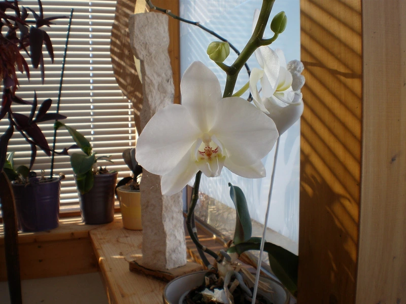 Mobile Wundversorgung Bähr&Sahr GmbH – Bild 1