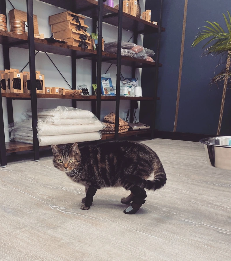 Tierliebe mit HandiCap – Bild 3