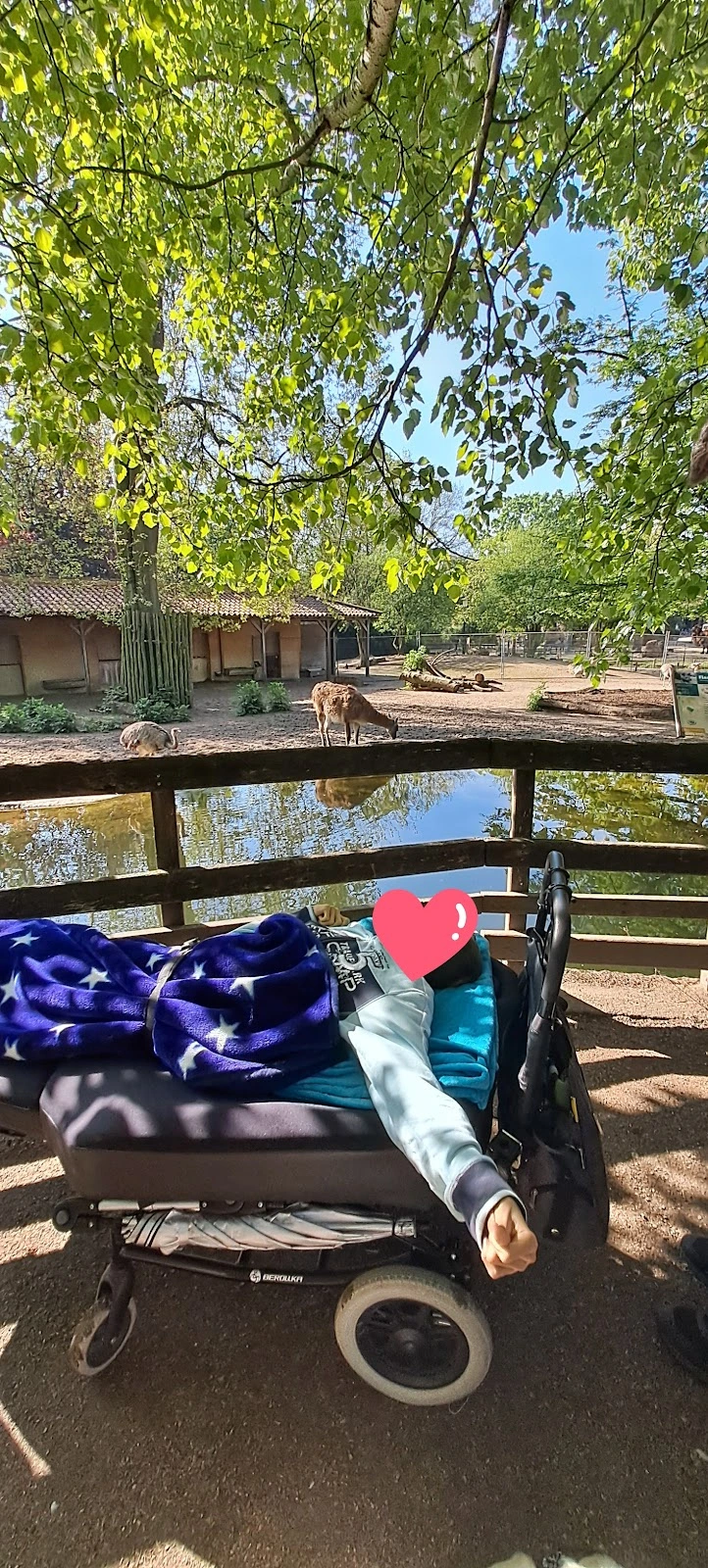 RDL-Rehaservice GmbH Sanitätsartikel und -bedarf – Bild 2