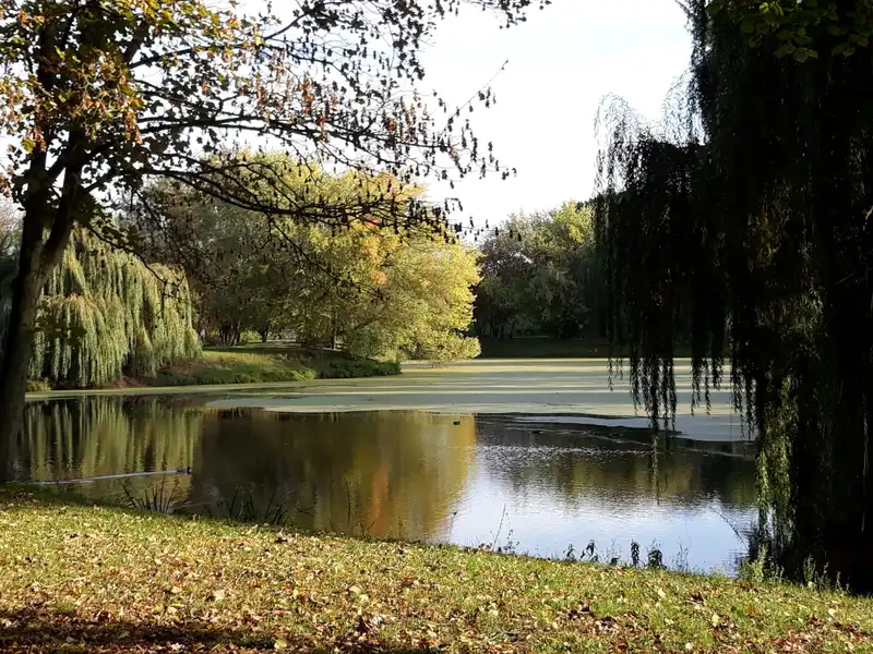 DRK Kreisverband Östliche Altmark e.V. Sozialstation Stendal Am Schwanenteich – Bild 3