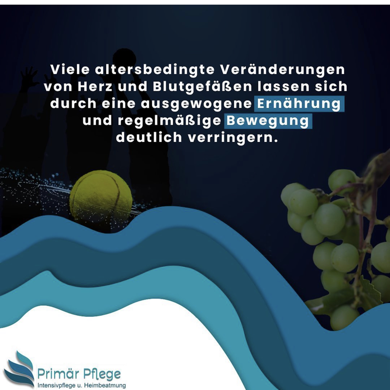 Primär Pflege – Bild 3