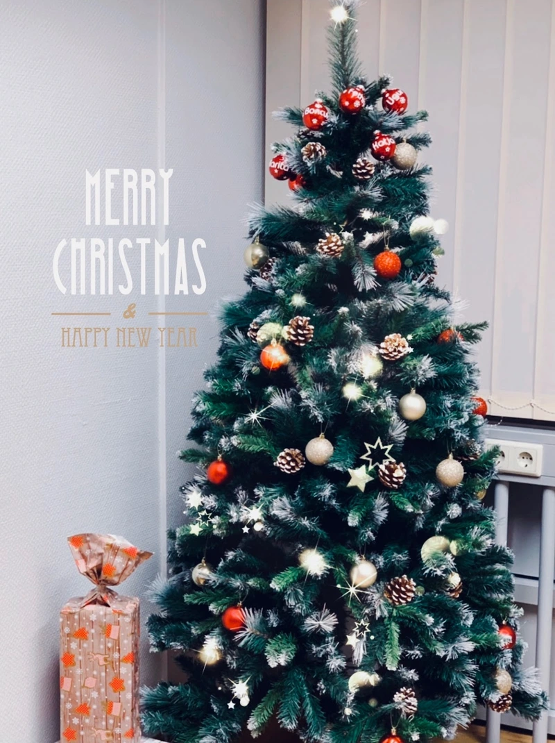 Primär Pflege – Bild 4