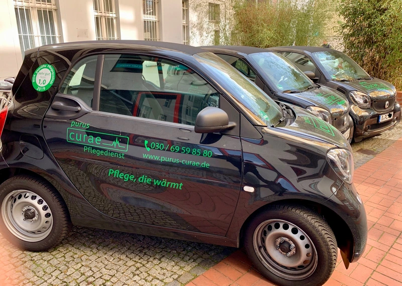 purus curae – Bild 1