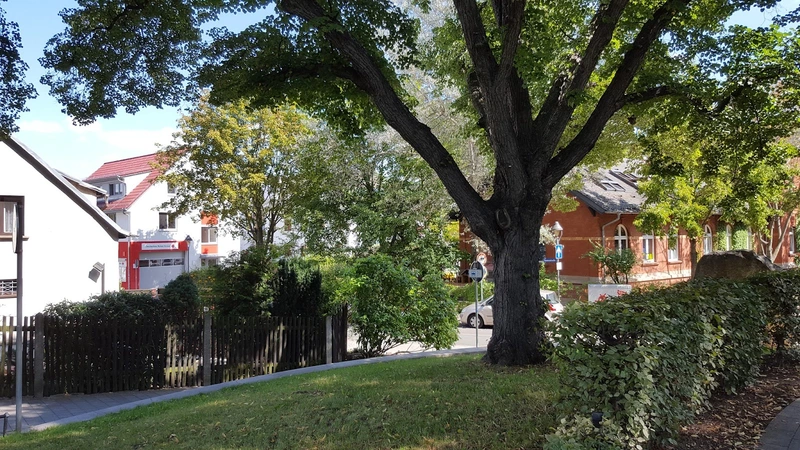 DRK KV Jena-Eisenberg-Stadtroda Sozialstation Jena – Bild 4
