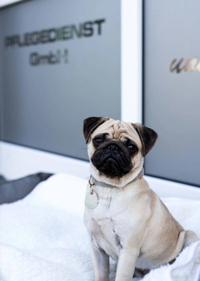 DVS Pflegedienst – Bild 3