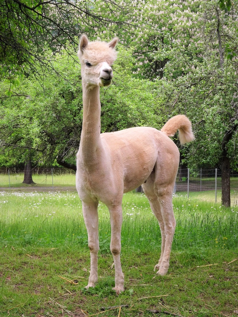 Schmidt Pflege mit Niveau – Bild 2