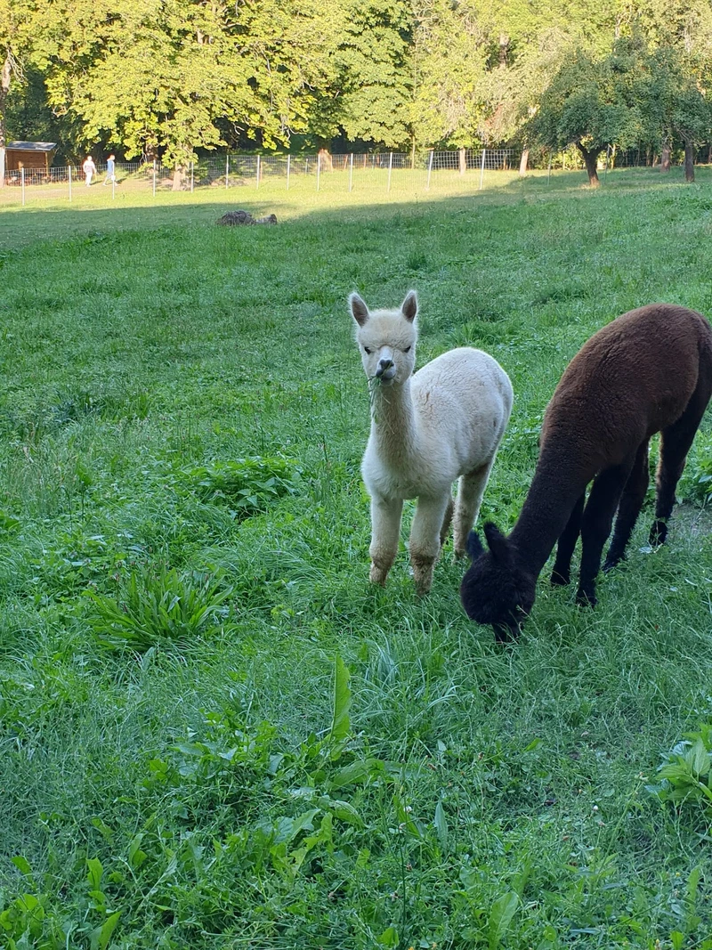 Schmidt Pflege mit Niveau – Bild 3