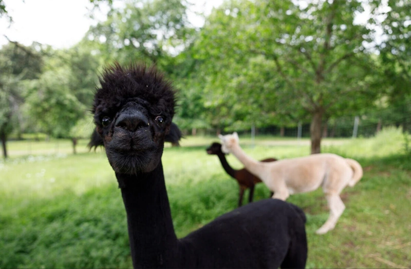 Schmidt Pflege mit Niveau – Bild 4