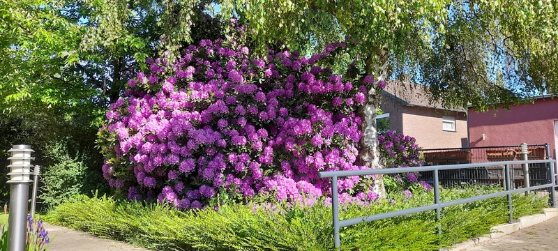 Utes Pflegedienst – Bild 4