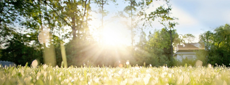 Die Pflegeprofis Sommer – Bild 1