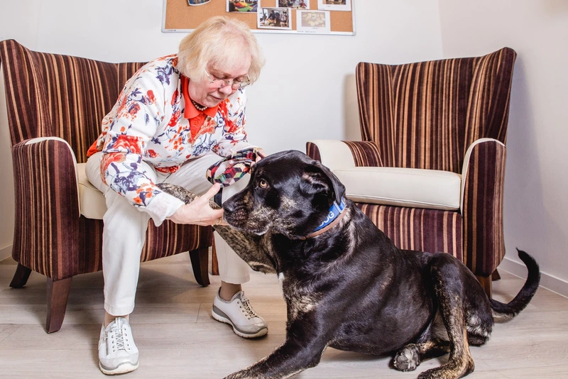 Servicezentrum Häusliche Pflege - SHP – Bild 3