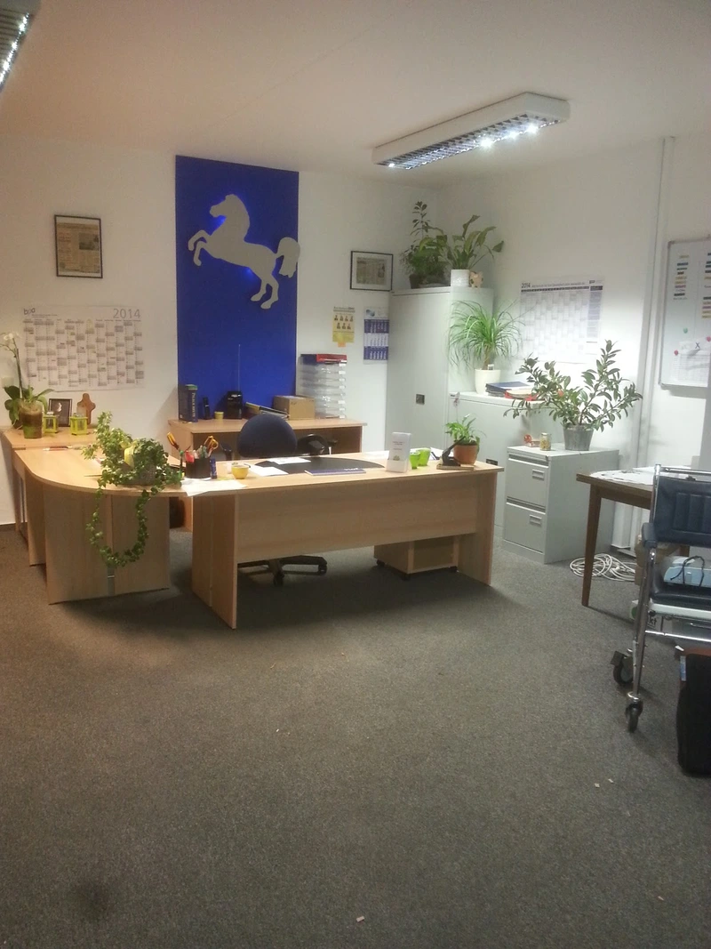 Ambulante Senioren- & Krankenpflege Alexandra Mews – Bild 4