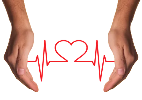 SEBA Intensiv 24 – Bild 2