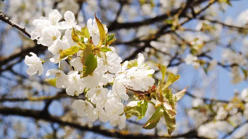 Ambulante Pflege Janine Niepel – Bild 1