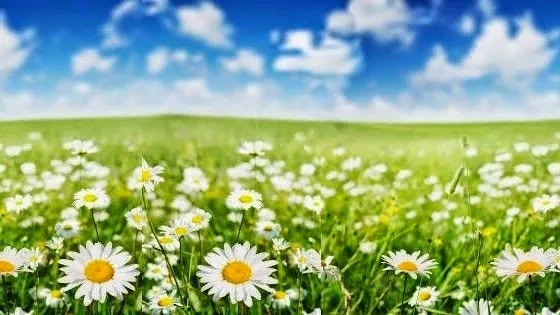 Pflegedienst Cathrin Gutsche – Bild 1