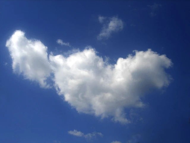 Pflegemax Ambulanter Pflegedienst – Bild 5