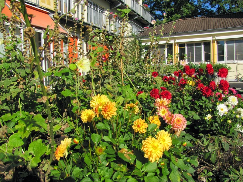 Seniorenzentrum Erikaweg – Bild 4