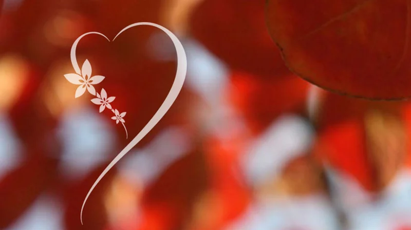 von Herz zu Herz Pflege – Bild 1