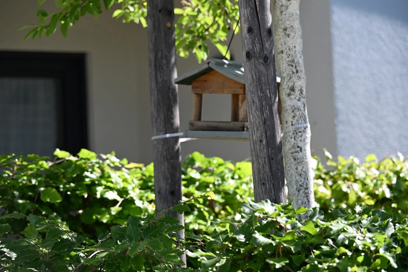 Pflegedienst AML – Bild 3