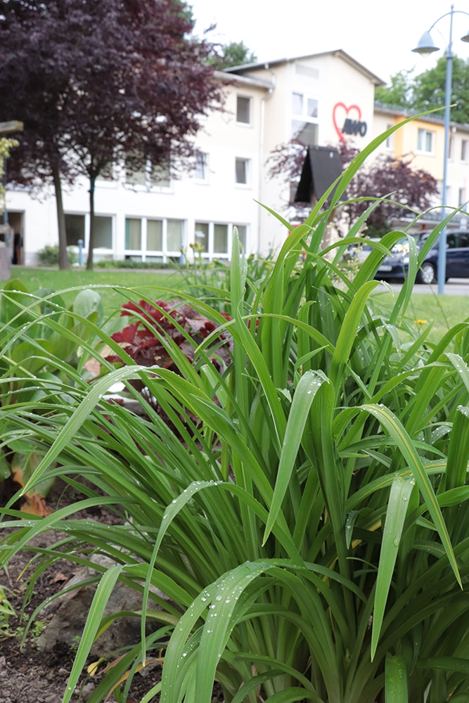 AWO Sozialstation Niederwiesa – Bild 5