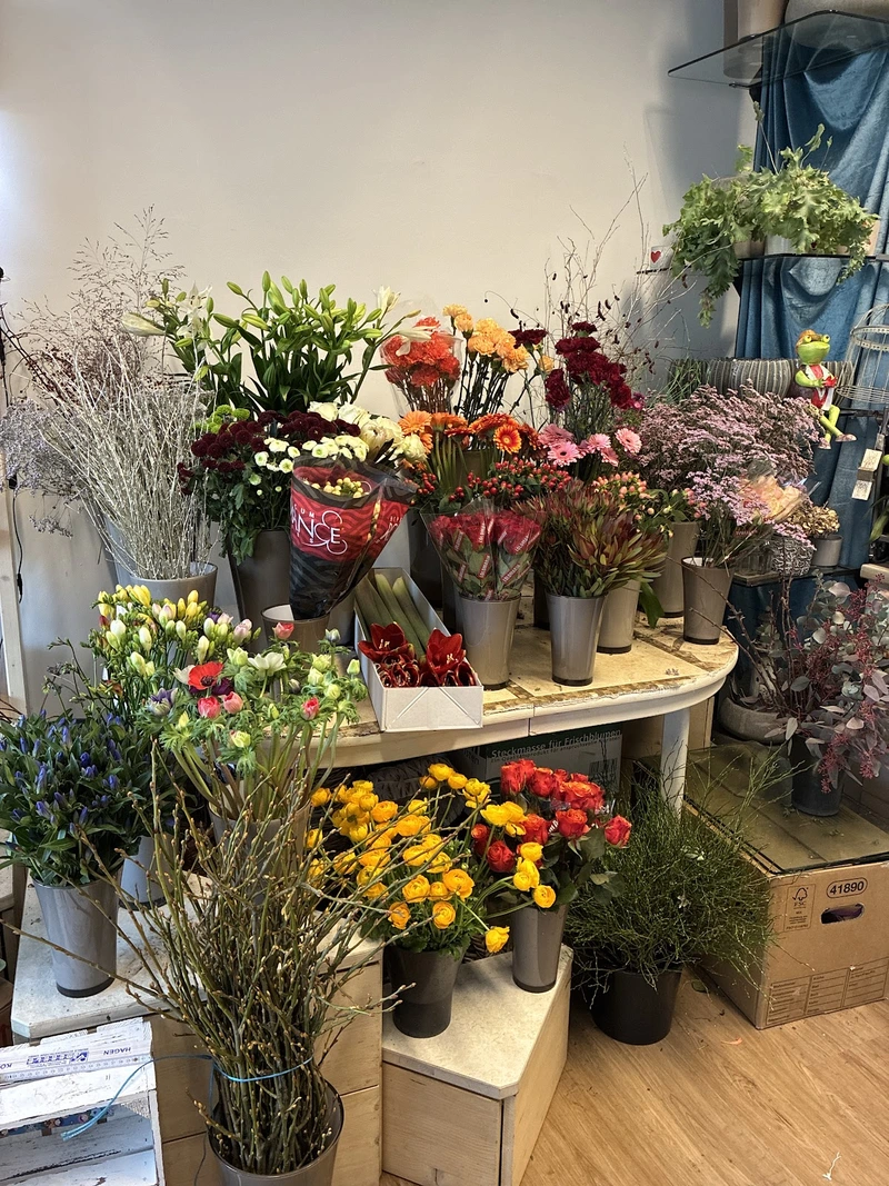 Alpha Service – Bild 1