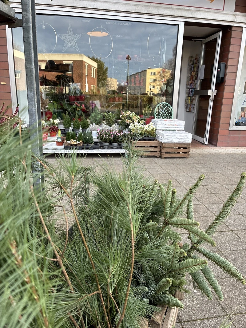 Alpha Service – Bild 2