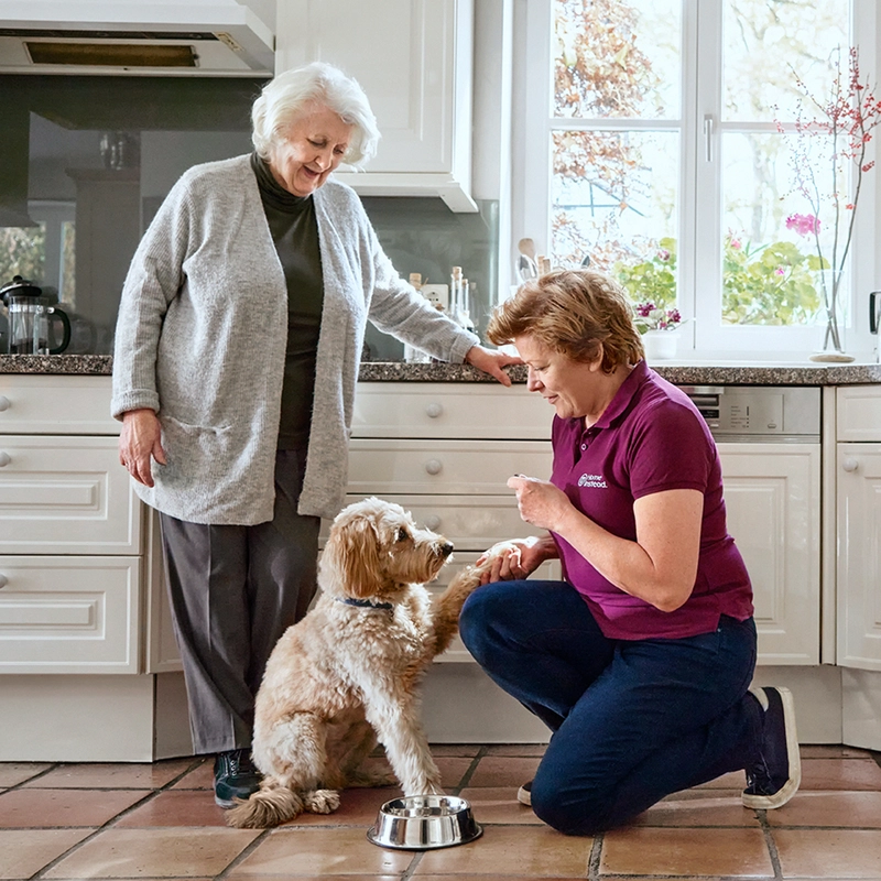 Home Instead-Allgemeiner Betreuungs- & Pflegedienst – Bild 1