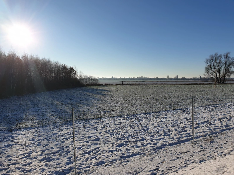 Pflegedienst Wulff – Bild 5