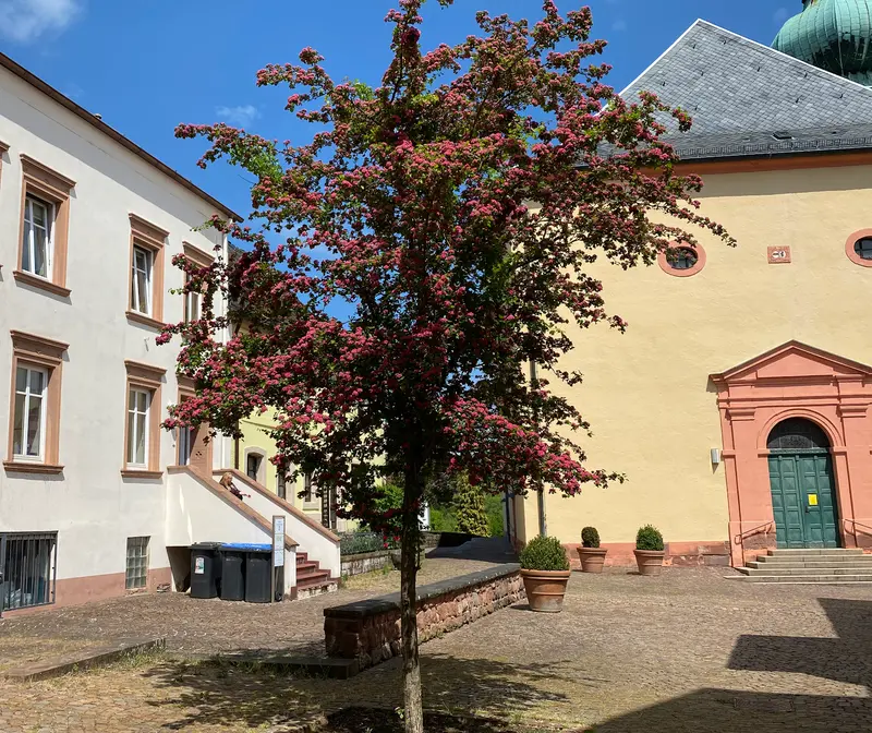 Helping Care Pflegedienst – Bild 4