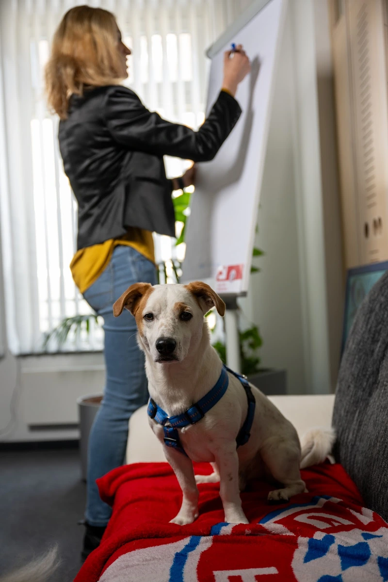 PflegeFANT – Bild 2