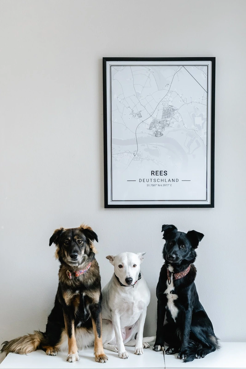 Ambulanter Pflegedienst Niederrhein – Bild 5