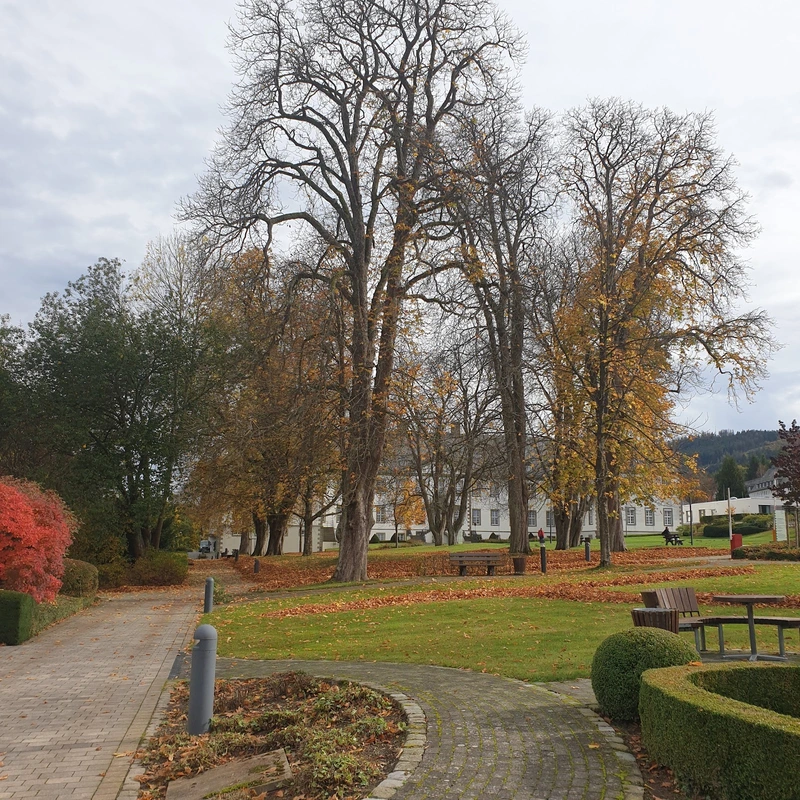 Kloster Grafschaft Ambulante Dienst – Bild 4