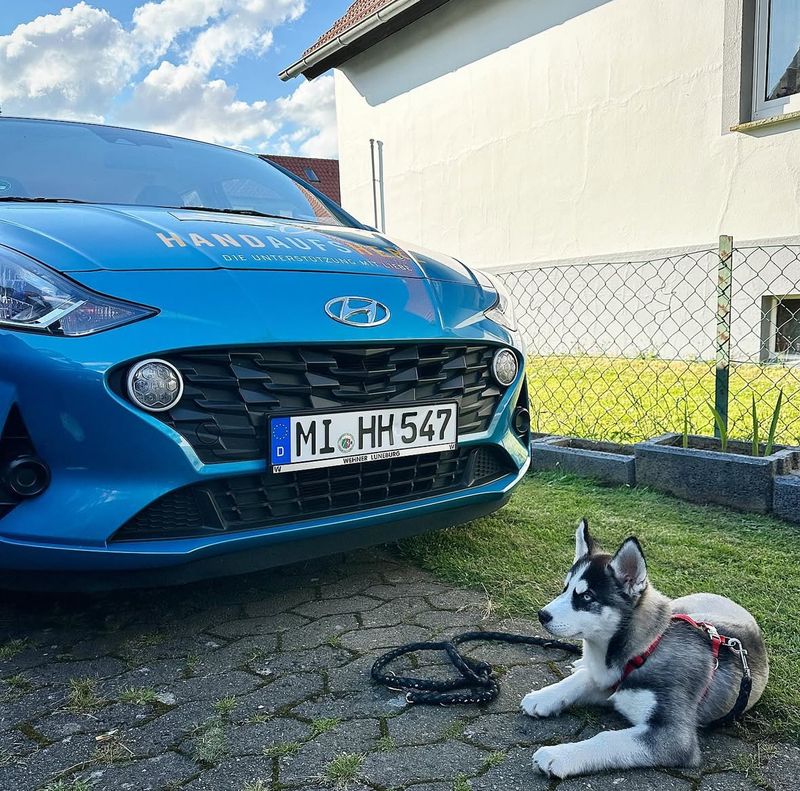 Hand aufs Herz – Bild 2