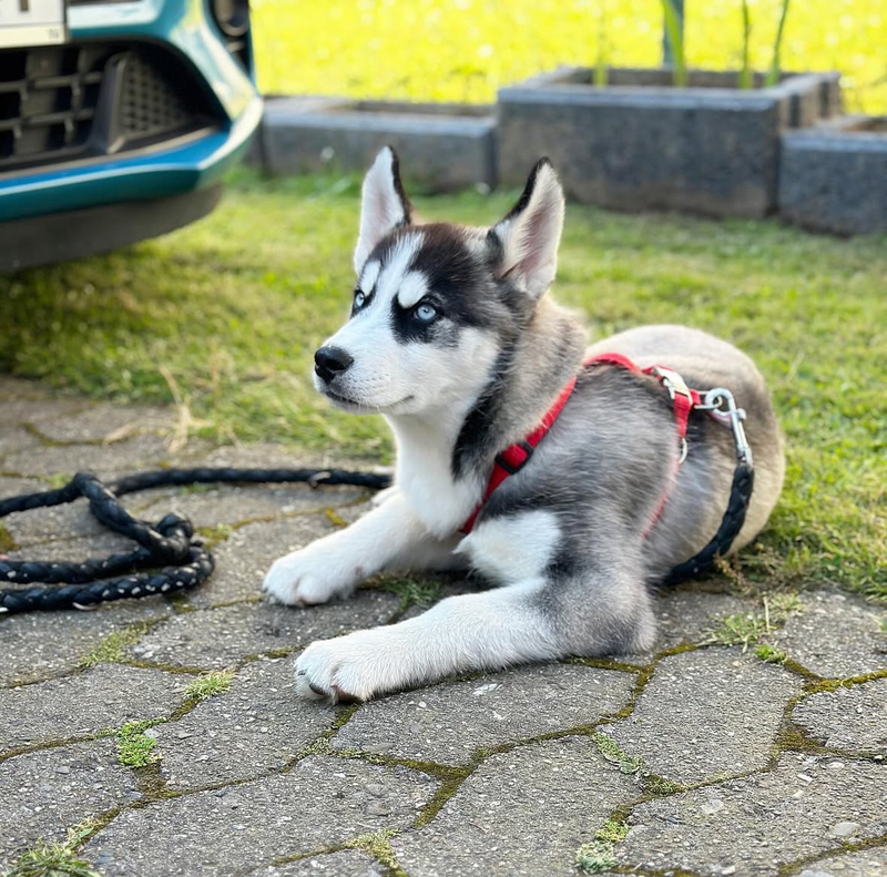 Hand aufs Herz – Bild 3