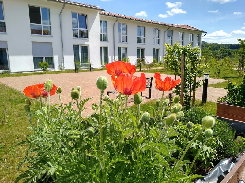 Ambulanter Pflegedienst carpe diem Gleichen – Bild 5