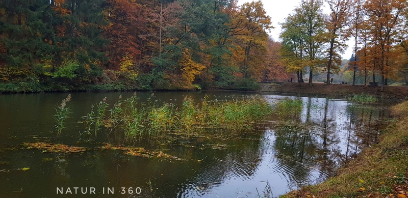 PAW - Mobiler Pflegedienst – Bild 2