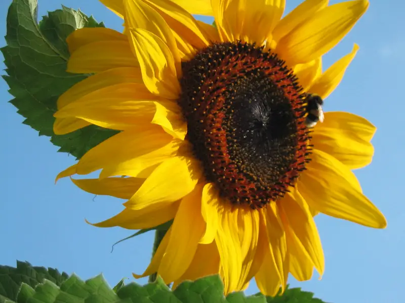 Pflegedienst Wildner – Bild 1