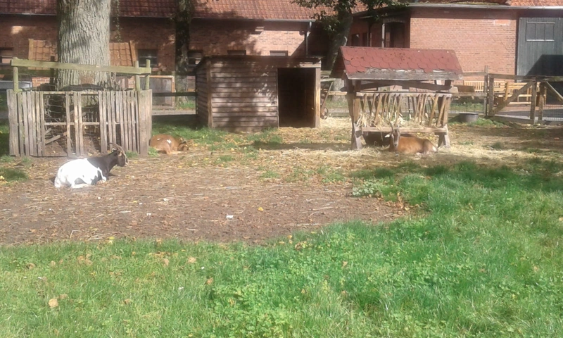 Diakonische Stiftung Ummeln Pflege – Bild 1