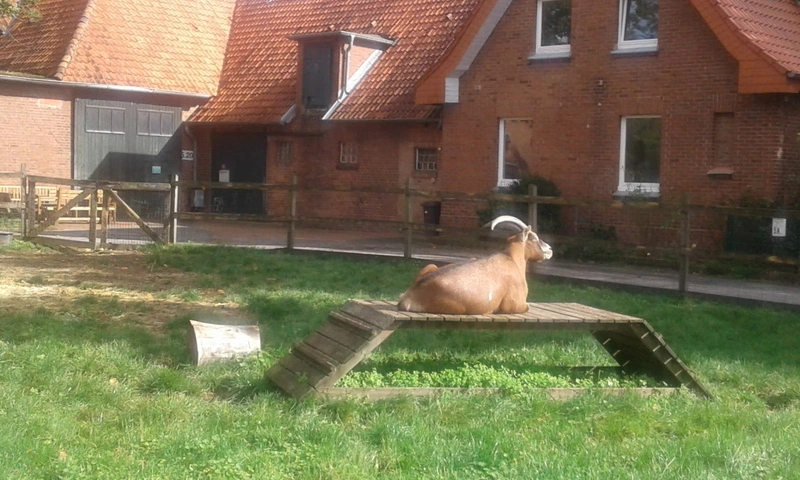 Diakonische Stiftung Ummeln Pflege – Bild 3