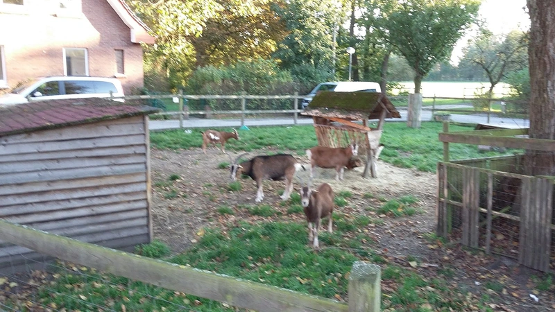 Diakonische Stiftung Ummeln Pflege – Bild 4