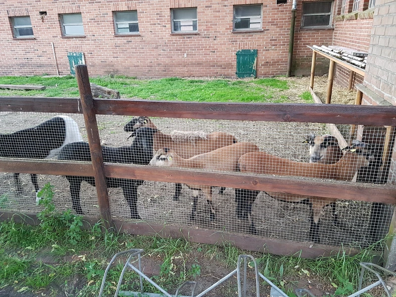 Diakonische Stiftung Ummeln Pflege – Bild 5