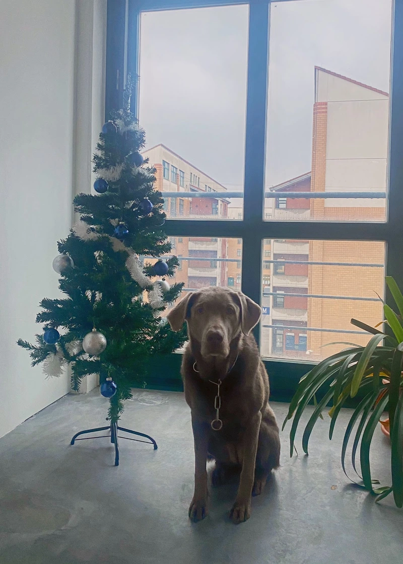 Pflegedienst ATEK – Bild 4