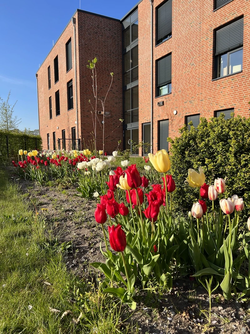 Stader Betreuungsdienste – Bild 1