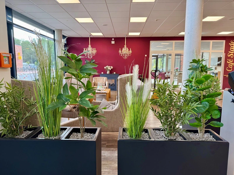 Stader Betreuungsdienste – Bild 3