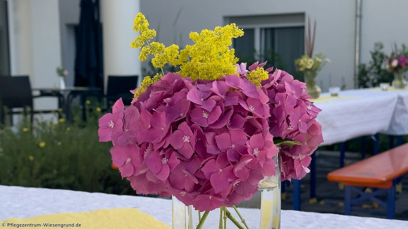 Pflegedienst Wiesengrund – Bild 4