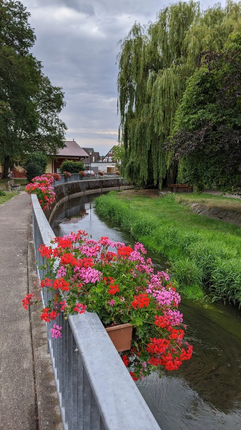 Liberata ambulant Sonnenschein Pflege Zuhause – Bild 4