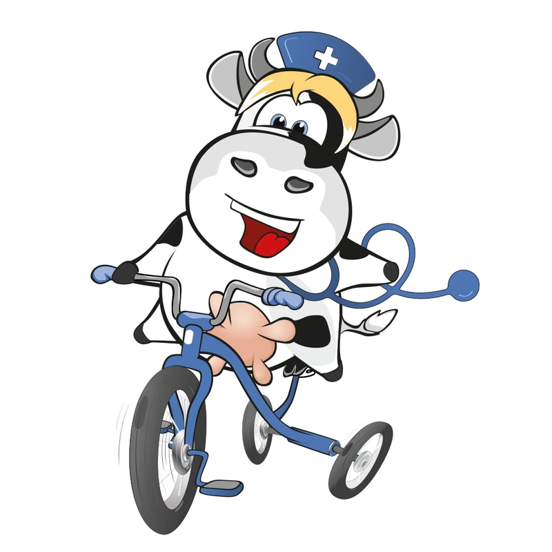 Wildemann Kuhlmann Falk – Bild 3