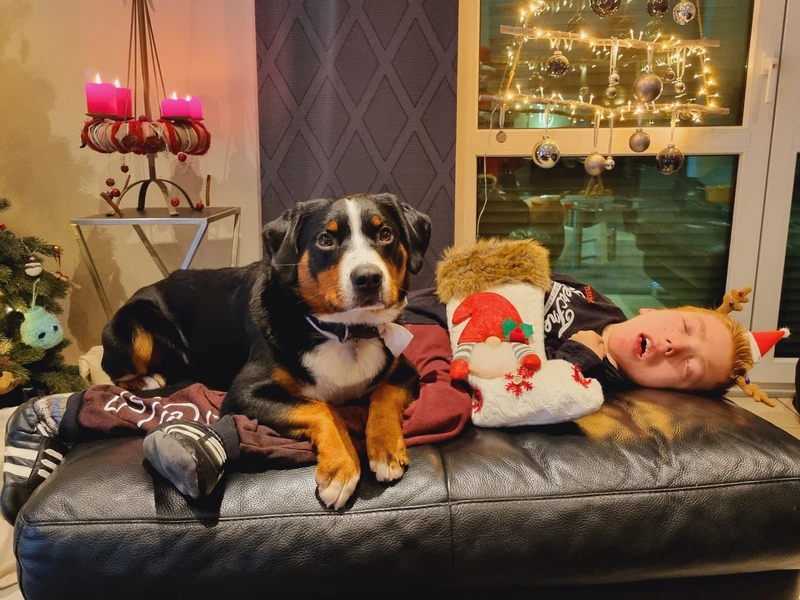 1 zu 1 Pflege Flemming – Bild 4